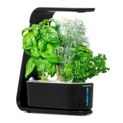 small hydroponic garden