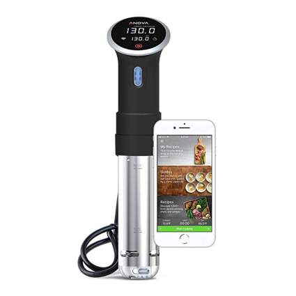 sous vide immersion cooker