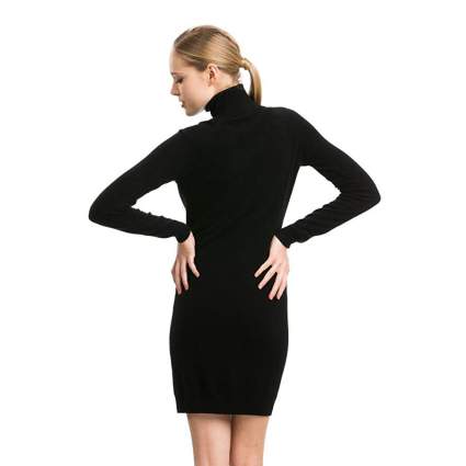 Citizen Cashmere Turtleneck Dress