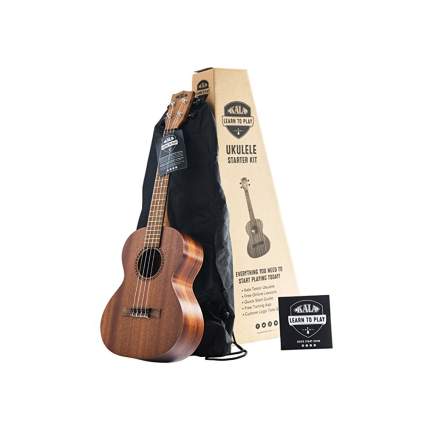 ukulele starter kit