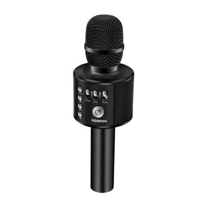 karaoke mic