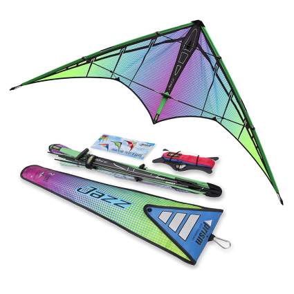 dual line stunt kite