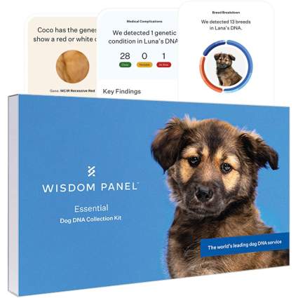 Wisdom Panel Essential Dog DNA Test